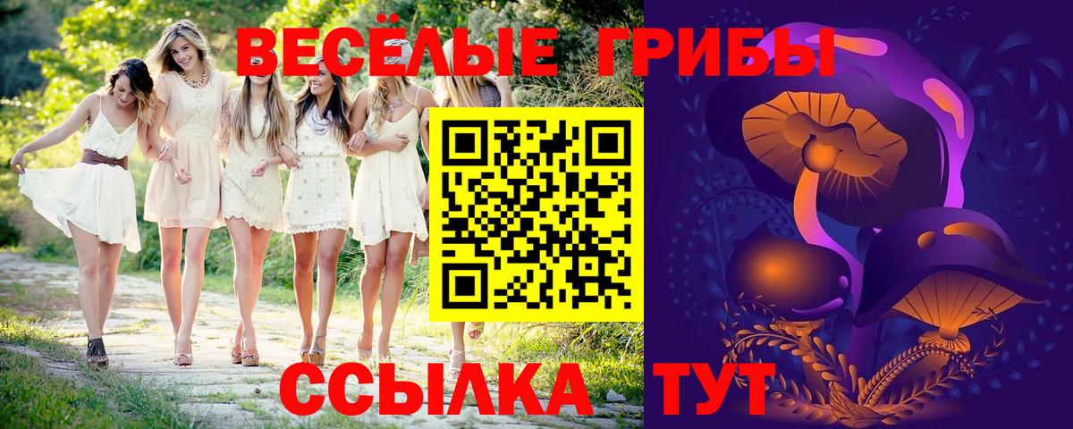 Псилоцибиновые грибы мицелий  Псилоцибиновые грибы Magic Shrooms  где купить   Вход с VPN  Касимов 