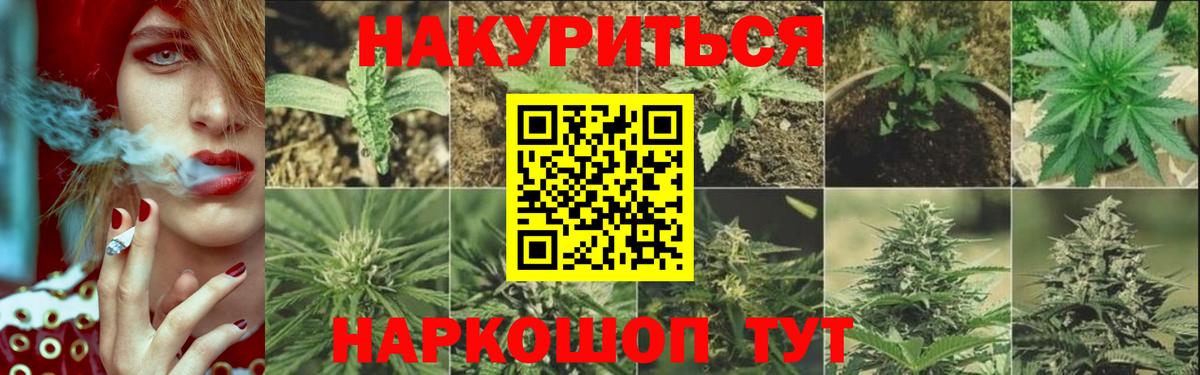 Конопля план Касимов